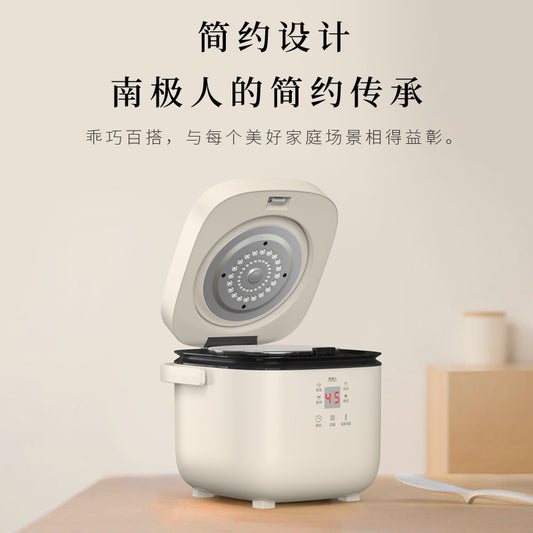 Mini rice cooker (Shipping not included)
